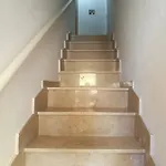 شقة Tripoli فيستَ